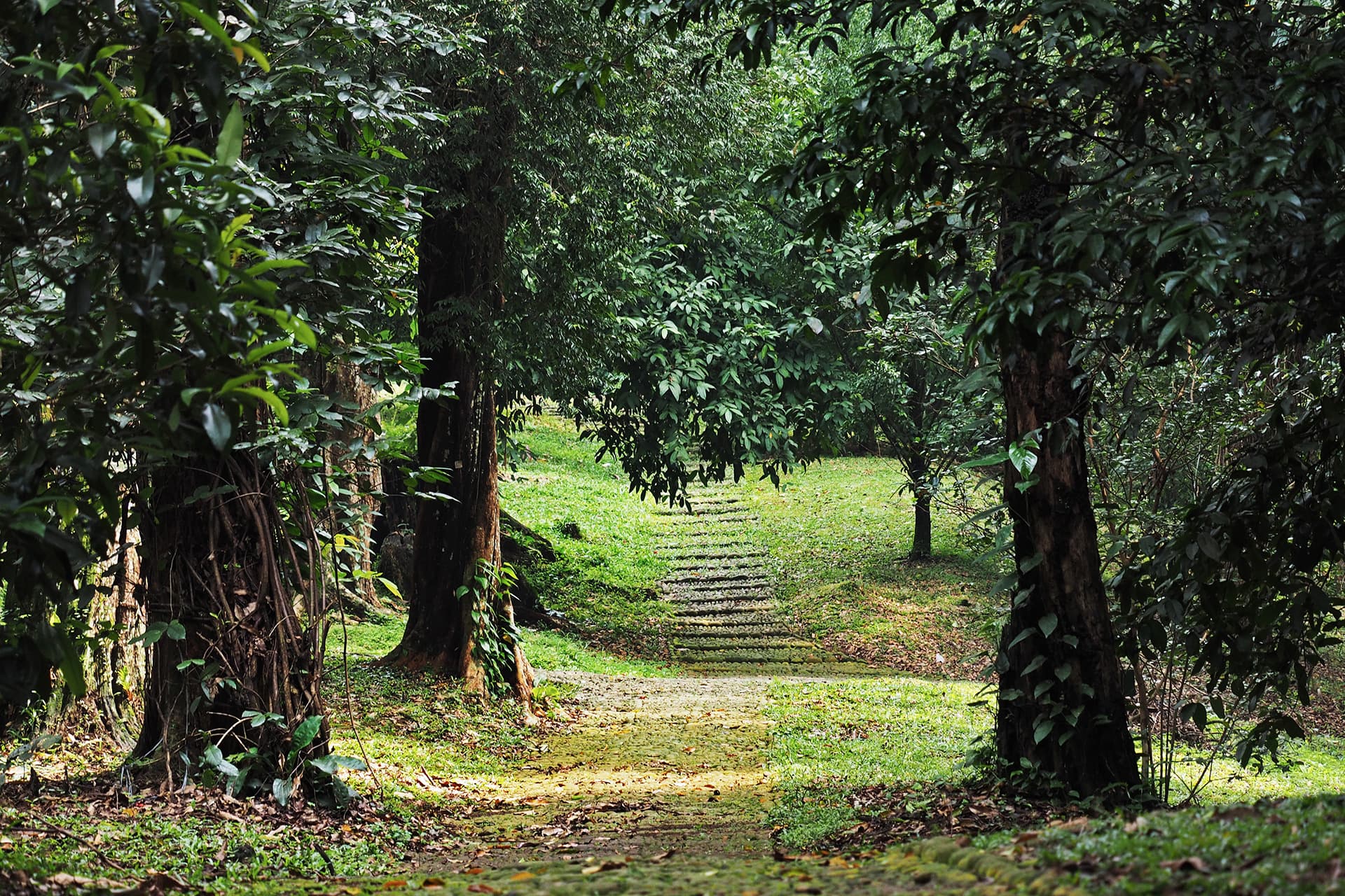 Orto Botanico di Bali