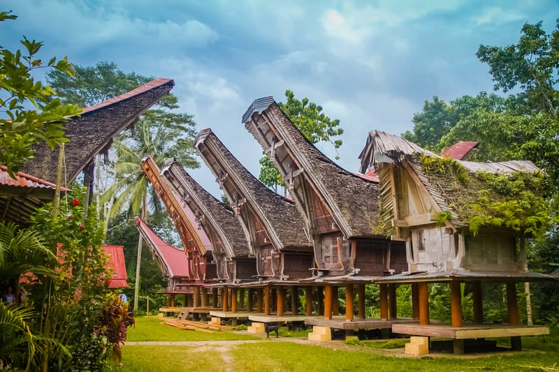 tongkonan house sangalla toraja region southern sulawesi indonesia.jpg 2